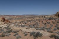 a large rocky desert plain in the middle of nowhere like area, including vegetation and rocks