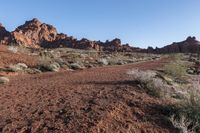 Nevada Desert: Off-Road Adventure in the Southwest