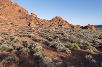 there is a bunch of rocks in the desert near a hillside and shrubbery with blue sky in back