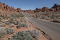 Nevada Desert Road: Exploring Nature's Landscape