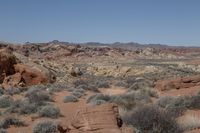 a rocky landscape with a view in the background of desert plants and sparse hills and rocks