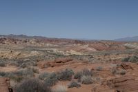 a rocky landscape with a view in the background of desert plants and sparse hills and rocks