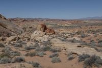 a rocky landscape with a view in the background of desert plants and sparse hills and rocks