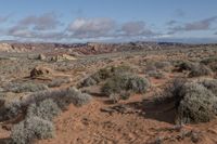 a dirt field with brush, bushes and desert in the background is clouds and rocks