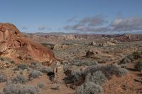 a dirt field with brush, bushes and desert in the background is clouds and rocks