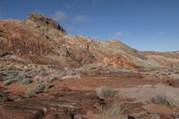 the landscape in this desert shows rocks, plants and other small brushy bushes with mountains in the background