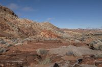 the landscape in this desert shows rocks, plants and other small brushy bushes with mountains in the background