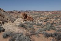 people hiking down a trail through some brush and rocks in an arid area with blue skies