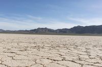 Desert Landscape in Nevada, USA