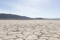 Desert Landscape in Nevada, USA