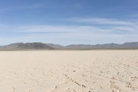 Desert Landscape in Nevada, USA