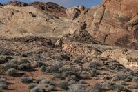 there is a horse that is in the desert area with rocks and grass on it