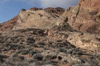 there is a horse that is in the desert area with rocks and grass on it