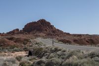 a road in the desert with rocks on both sides and a cow grazing beside it