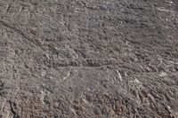 a view of the texture of dirt and rocks, with small waves and scratches of mud