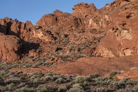 Off-Road Track in the Nevada Desert surrounded by Mountains