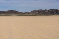 Desert Landscape in Nevada, USA