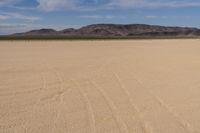 Desert Landscape in Nevada, USA