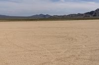 Desert Landscape in Nevada, USA