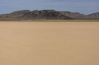 Desert Landscape in Nevada, USA