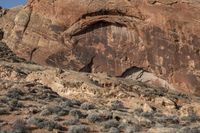 a red rock wall is shown here with animals on it and a tree in the center