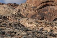 a red rock wall is shown here with animals on it and a tree in the center