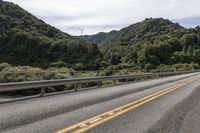 New South Wales Australia Scenic Road Forest