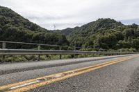 New South Wales, Australia: Scenic Road through Forest