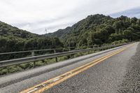 New South Wales Australia Scenic Road Forest