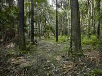 New South Wales Nature Off Road