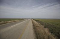an empty road on a vast green plain in the middle of nowhere, with grass growing along the side