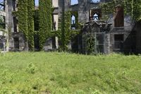 the building that is covered in vines sits abandoned and overgrown with weeds around it and windows in the background