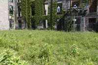 the building that is covered in vines sits abandoned and overgrown with weeds around it and windows in the background