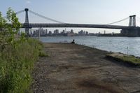 New York City: Concrete Bridge Against a Clear Sky