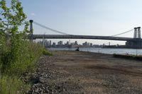 New York City: Concrete Bridge Against a Clear Sky