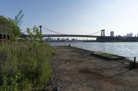 New York City: Concrete Bridge Against a Clear Sky