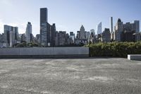 New York City: Daytime Skyline with Skyscrapers