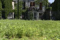 an old ruiny building covered in plants and vines is in the foreground of a field