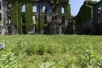 an old ruiny building covered in plants and vines is in the foreground of a field