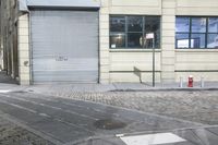 a fire hydrant in front of a long metal door on the corner of a city street