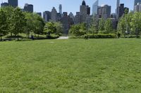 the park has some grass in it and trees in the background with skyscrapers in the background