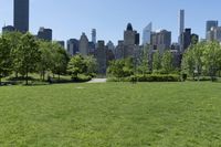 the park has some grass in it and trees in the background with skyscrapers in the background
