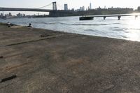 a person walks along the shoreline of a river with a bridge and skyscrapers behind