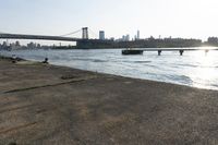 a person walks along the shoreline of a river with a bridge and skyscrapers behind