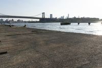 a person walks along the shoreline of a river with a bridge and skyscrapers behind