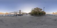 a view of the bridge and skyline from a bench in an empty lot outside of the building