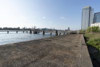 the view of a city skyline from an open river bank with a bridge and benches at the edge