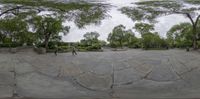 a person riding a skateboard down a set of stone walkways surrounded by trees