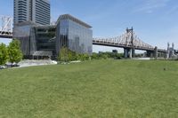 New York City Urban Park: A Tranquil Grass Lawn