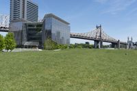 New York City Urban Park: A Tranquil Grass Lawn
